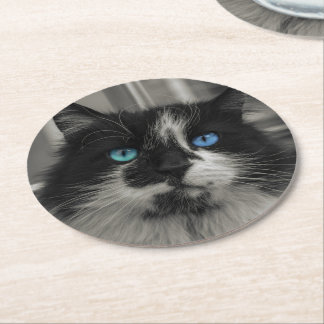 Azur-Seele Schwarze Katze Blaue Augen Runde Coaste Runder Pappuntersetzer