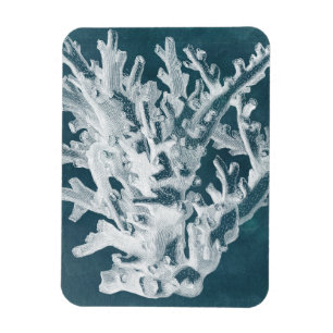 Azurblaue Koralle I Magnet