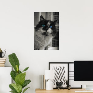 Azurblaue Seele Blaue Augen Schwarz-Weiß-Katze Fin Poster