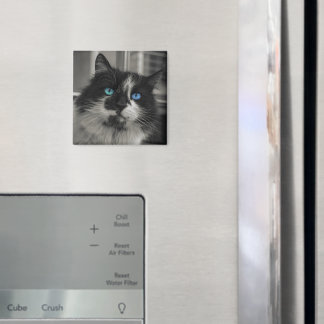 Azurblaue Seele Schwarze Katze Blaue Augen Quadrat Magnet