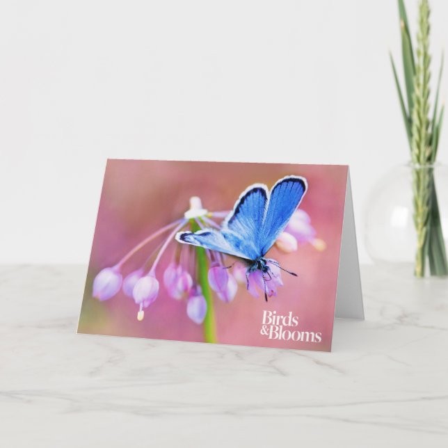 Azurblauer Schmetterling Karte (Vorderseite)