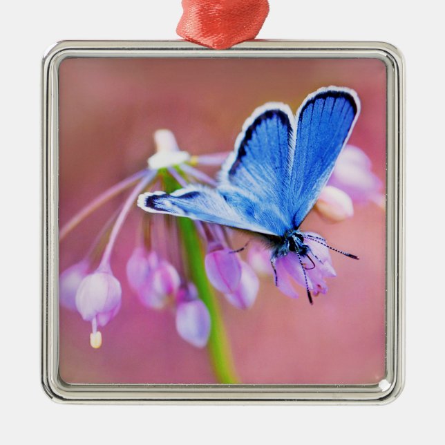 Azurblauer Schmetterling Ornament Aus Metall (Vorne)