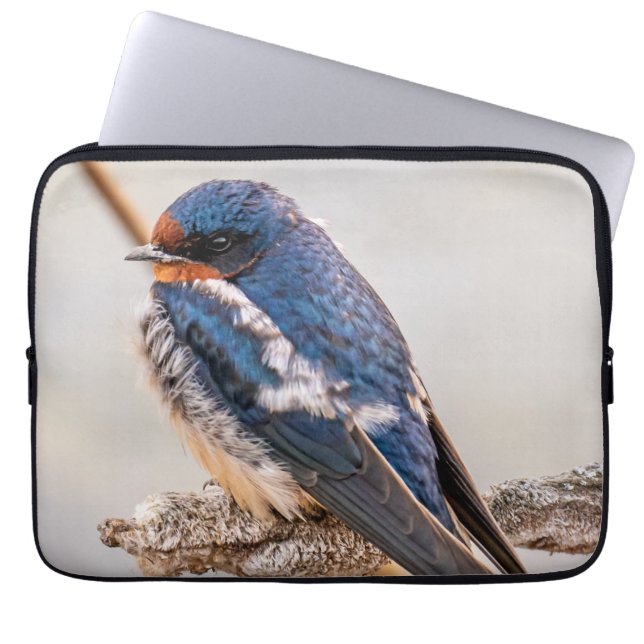 Azure Avian: Wildvogel in Kanadien schlucken Laptopschutzhülle (Vorderseite)
