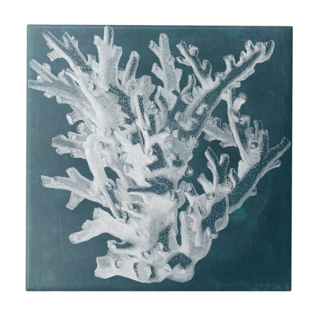Azure Coral I Fliese (Vorderseite)