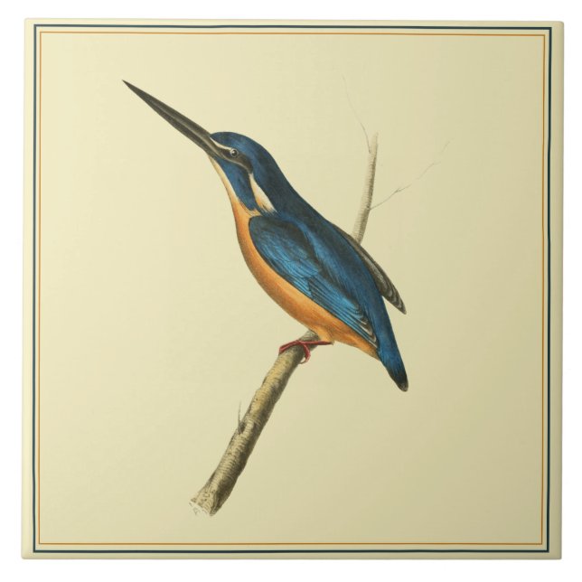 Azure Eisvogel Fliese (Vorderseite)