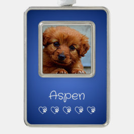 Azure Haustier-Foto-Ornament - Weihnachtsgeschenk Rahmen-Ornament Silber