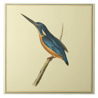 Azure Kingfisher Fliese