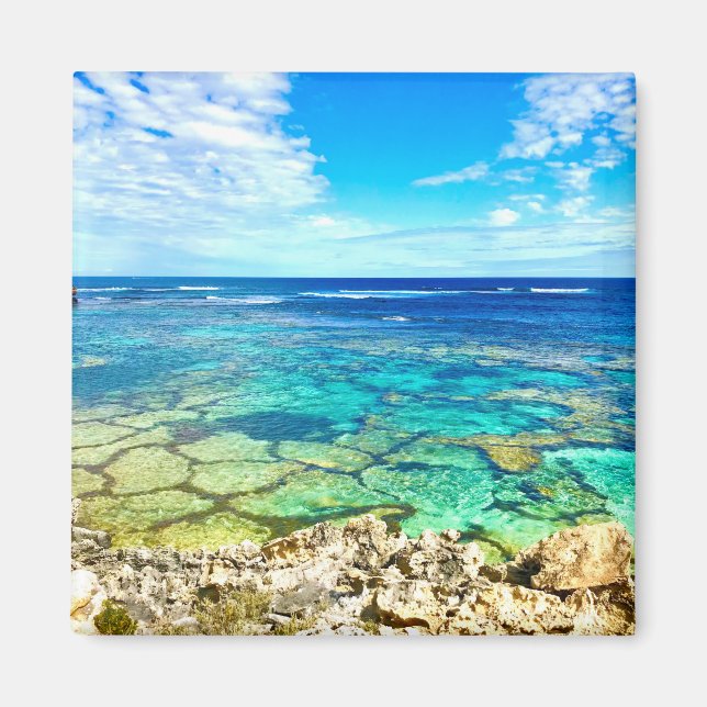 Azure Ocean Reef Magnet (Vorne)