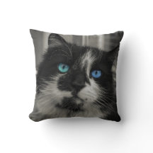 Azure Soul Schwarze Katze Blaue Augen Wurfkissen