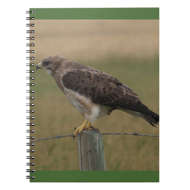 B10 Präriehühnerhabicht Notizblock (Vorderseite)