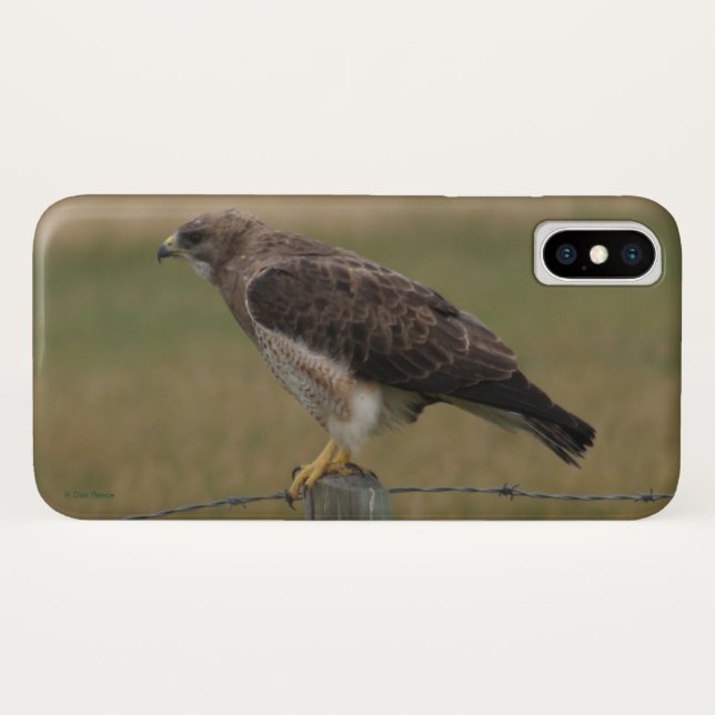 B10 Swainsons Hawk Case-Mate iPhone Hülle (Rückseite (Horizontal))