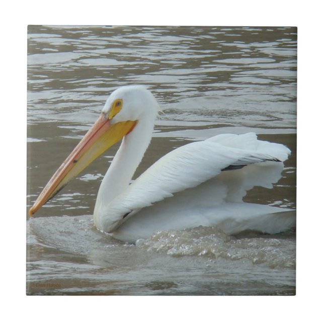 B14 White Pelican on Muddy River Fliese (Vorderseite)