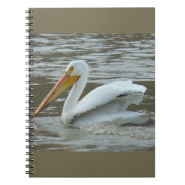 B14 White Pelican on Muddy River Notizblock (Vorderseite)