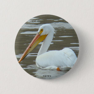 B15 Weißer Pelikan Button