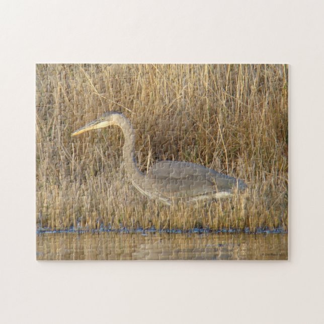 B19 Blue Heron Juvenile (Horizontal)