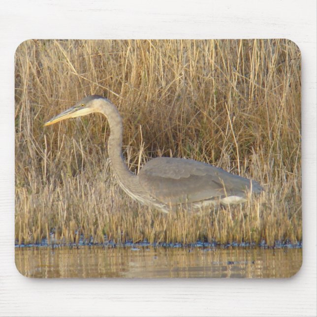 B19 Juvenile Great Blue Heron Mousepad (Vorne)
