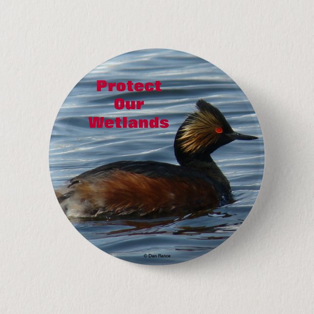 B1 Eared Grebe Button (Vorderseite)