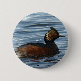 B1 Eared Grebe Button
