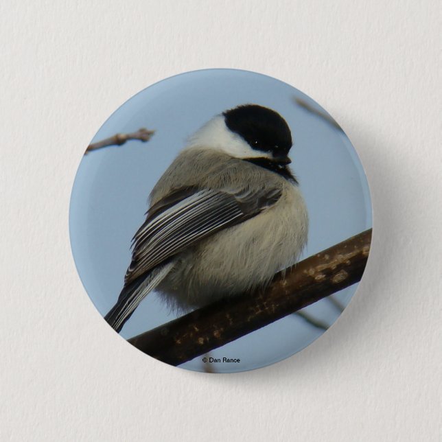 B21 Chickadee Button (Vorderseite)
