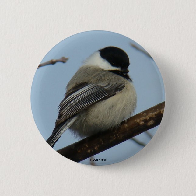 B21 Meise Button (Vorderseite)