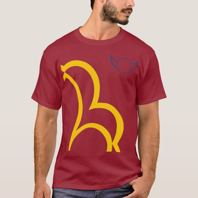 b21b Versuch 1 T-Shirt (Vorderseite)