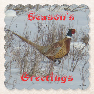 B23 Ring Necked Pheasant in Snow Coaster Untersetzer