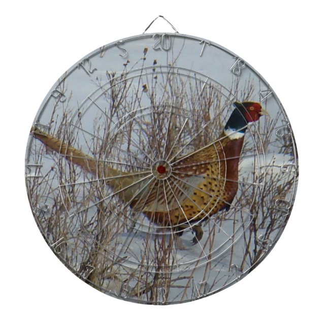 B23 Ringhalsblume im Schnee Dartscheibe (vorne)