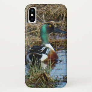 B26 Löffelente iPhone X Hülle