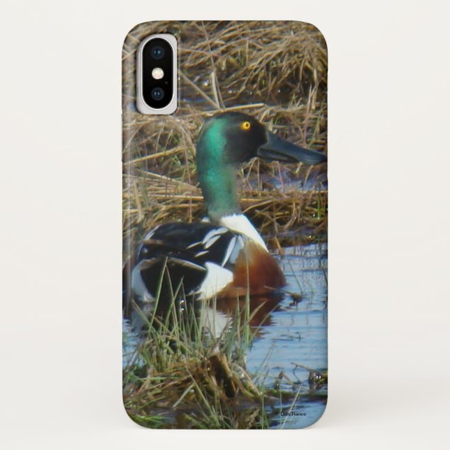 B26 Northern Shoveler Case-Mate iPhone Hülle (Rückseite)
