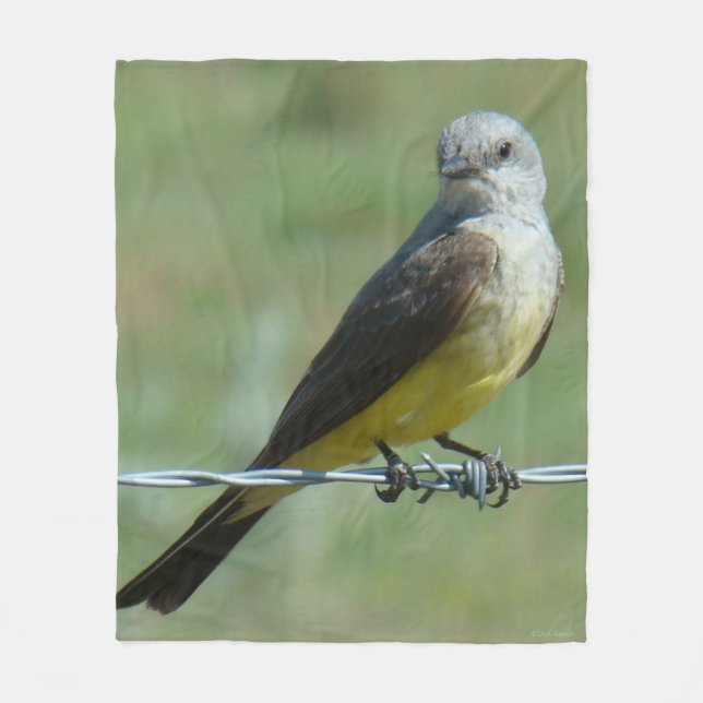 B32 Western Kingbird auf Barb Wire Fleecedecke (Vorderseite)