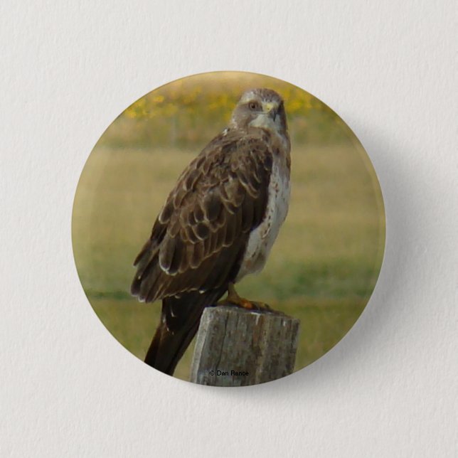 B33 Präriebussard Button (Vorderseite)