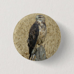 B36 Ferruginous Hawk in Weizenfeld Button
