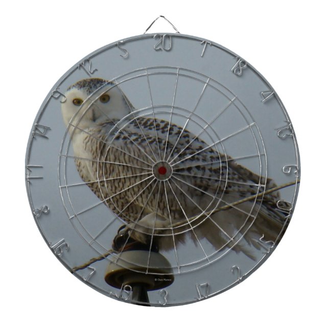 B38 Schneeauwl Dartscheibe (vorne)