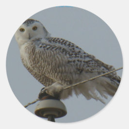 B38 Schneeauwl Runder Aufkleber