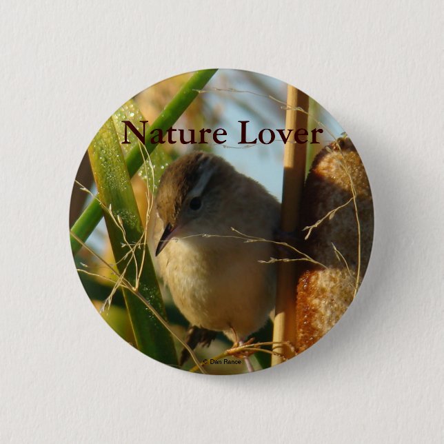 B3 Marsh Wren Button (Vorderseite)