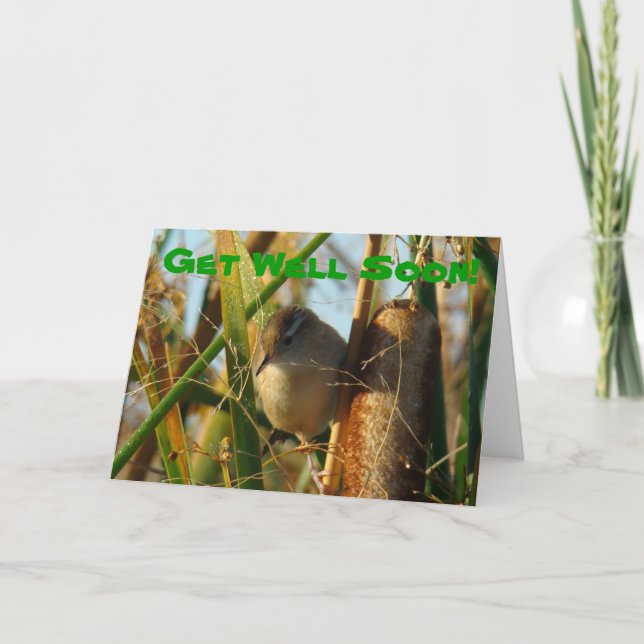 B3 Marsh Wren in Cattails Karte (Vorderseite)