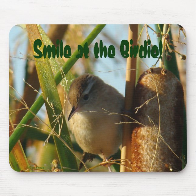 B3 Marsh Wren Mousepad (Vorne)