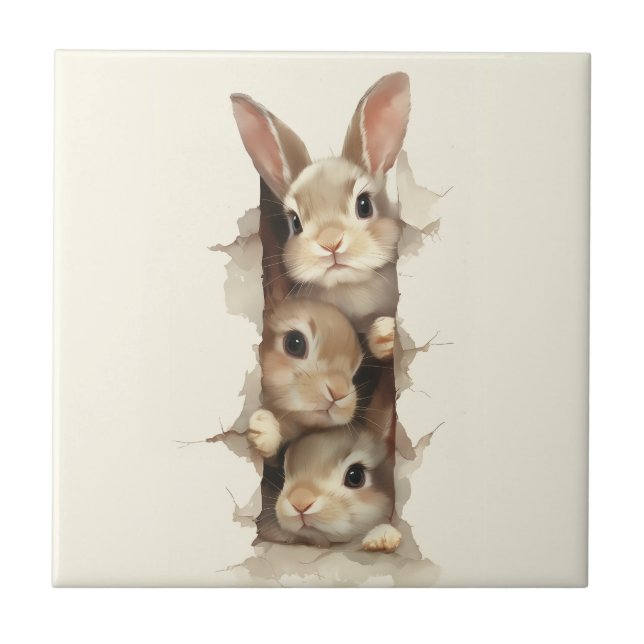 B3 Three Bunnies 3D Illusion  Fliese (Vorderseite)