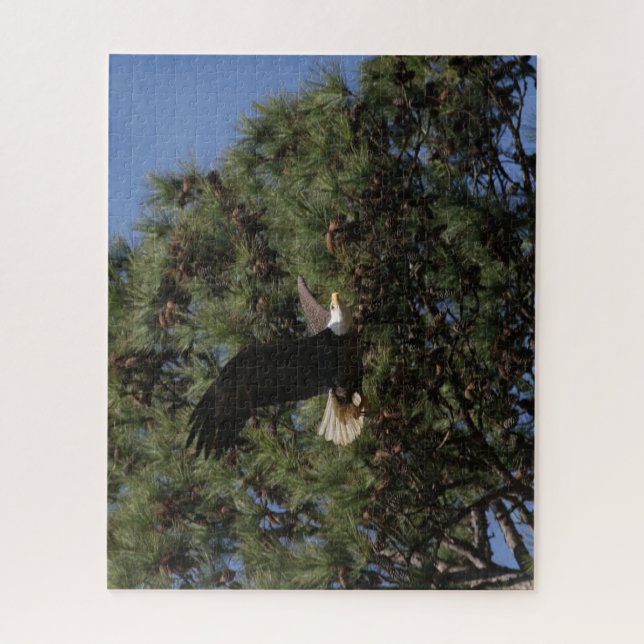 B3BB, papa Berry puzzle puzzle (Vertical)