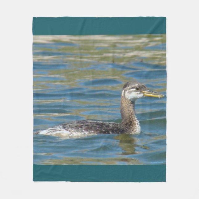 B40 Grebe Junvenile Fleecedecke (Vorderseite)