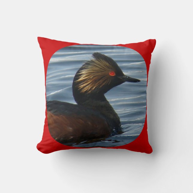 B41 Eared Grebe Kissen (Vorderseite)