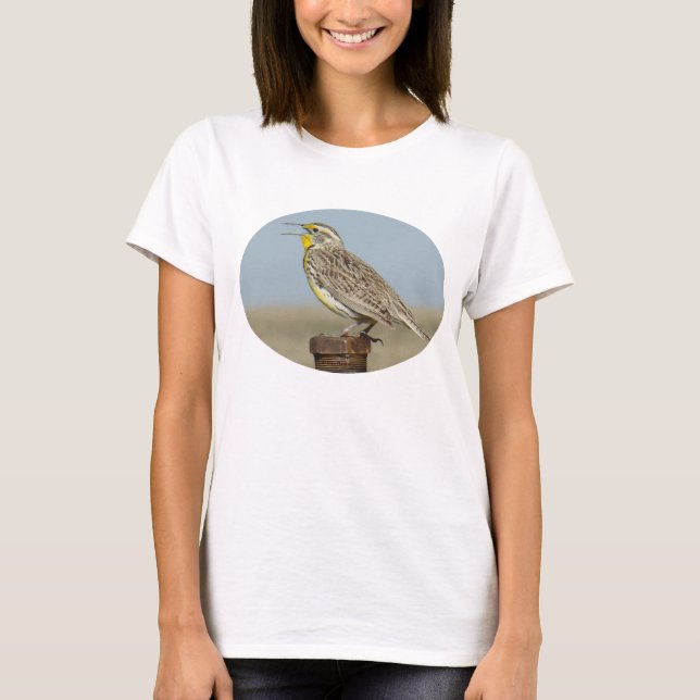 B42 Western Meadow Lark T-Shirt (Vorderseite)