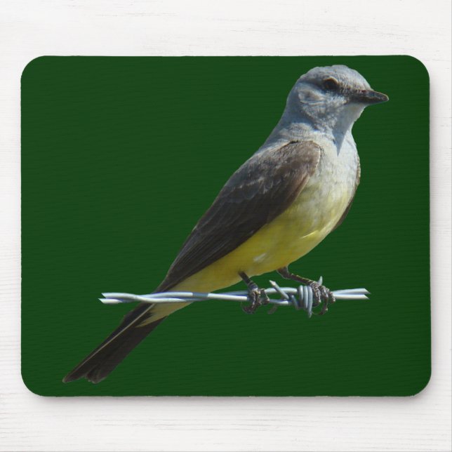 B45 Western Kingbird Mousepad (Vorne)
