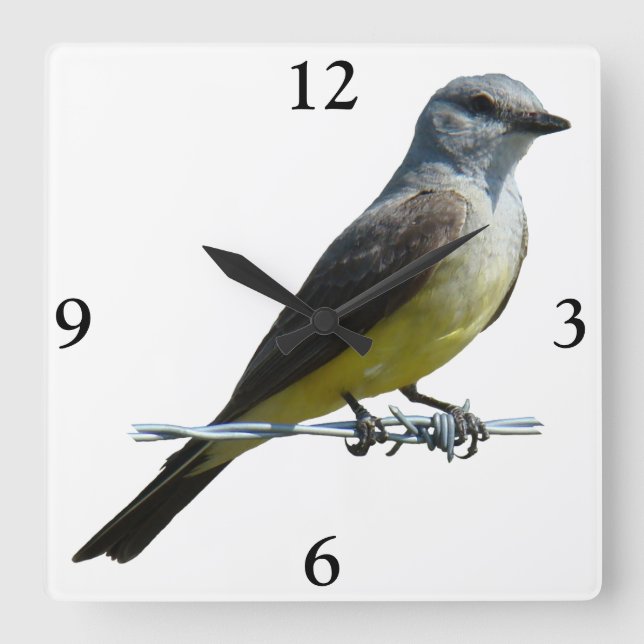 B45 Western Kingbird Quadratische Wanduhr (Vorderseite)