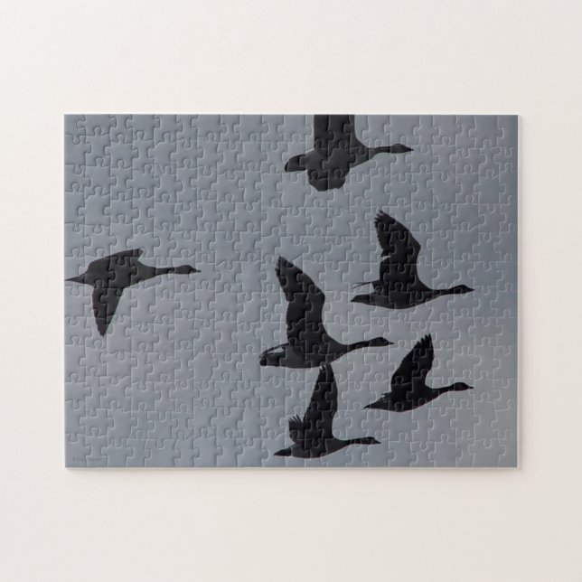 B46 Canadian Geese in Flight (Horizontal)