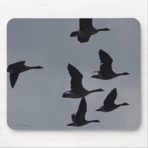 B46 Kanadagänse im Flug Mousepad