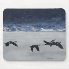 B48 Kanadische Gänse über Frozen Mousepad