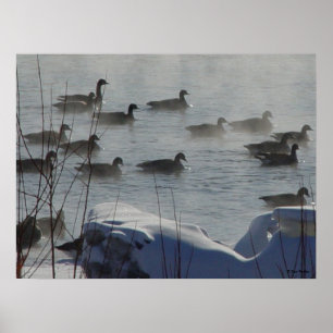 B49 Kanadagänse auf gefrorenem Fluss Poster