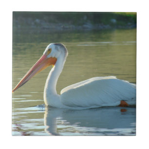 B4 White Pelican Fliese