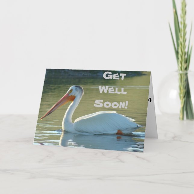 B4 White Pelican Karte (Vorderseite)